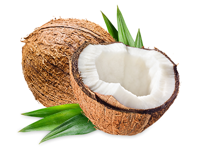 Tropical Fruit Box