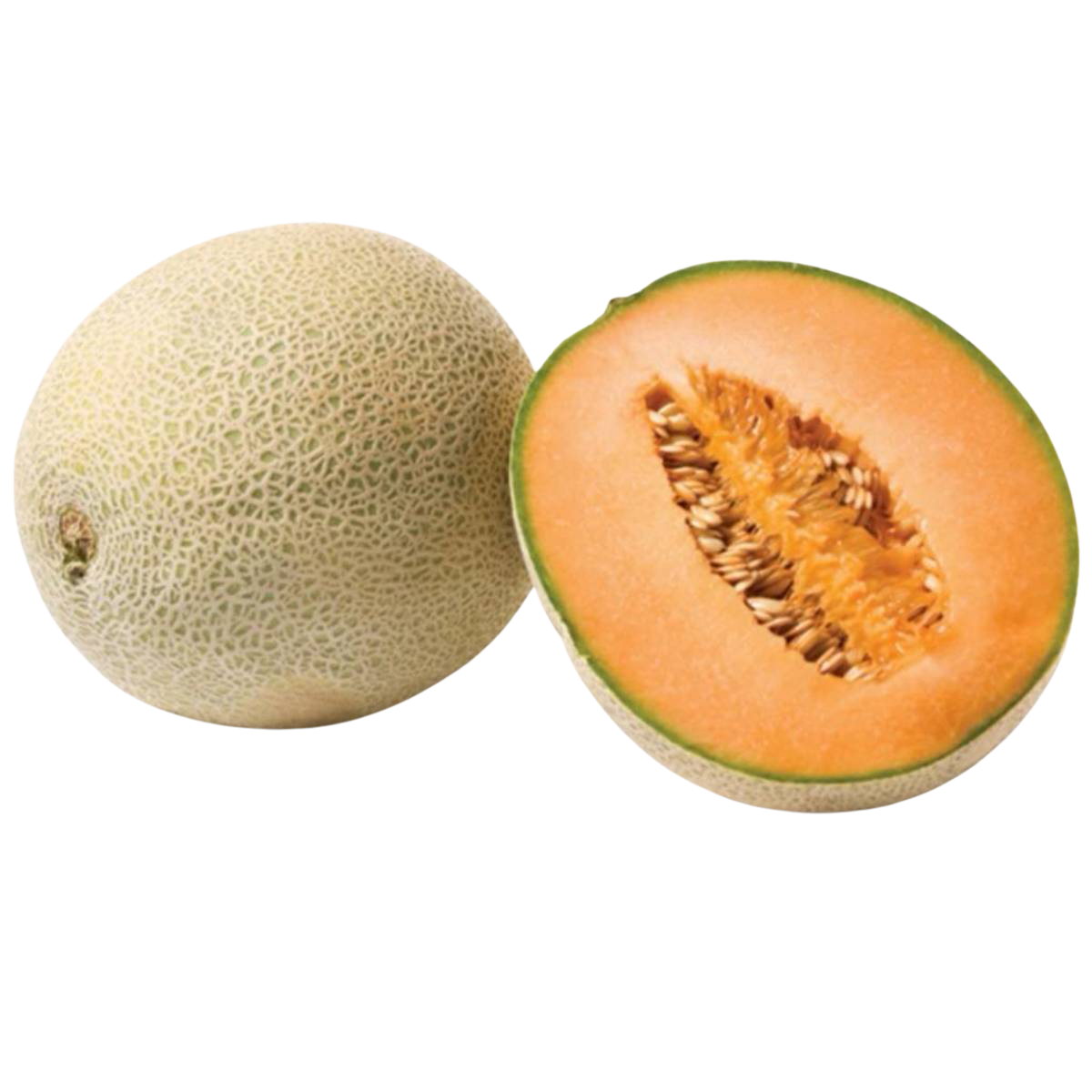 Watermelon - Orange