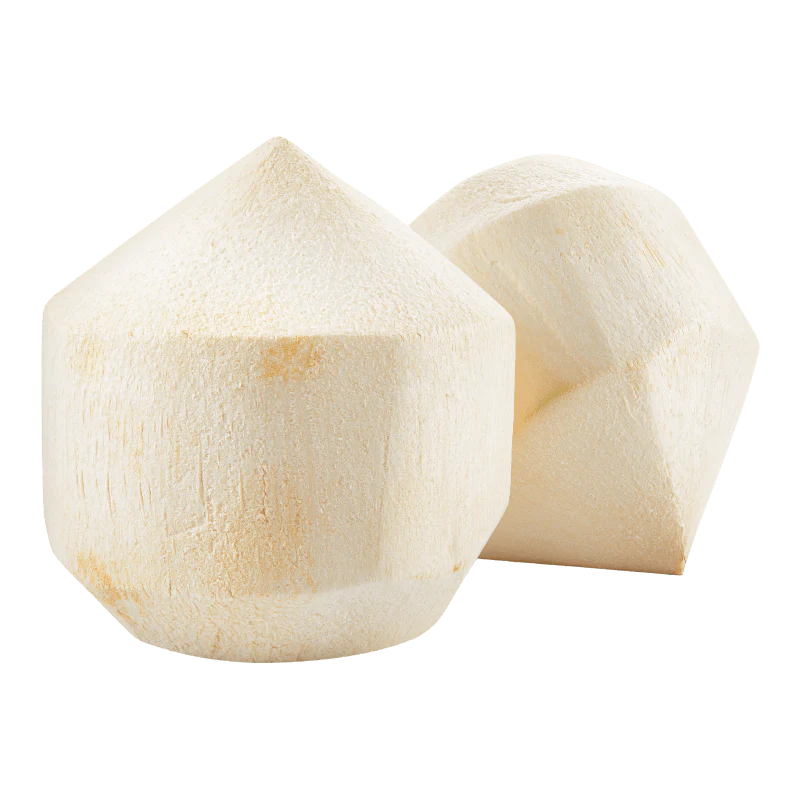 Coconut - Young / Shaven