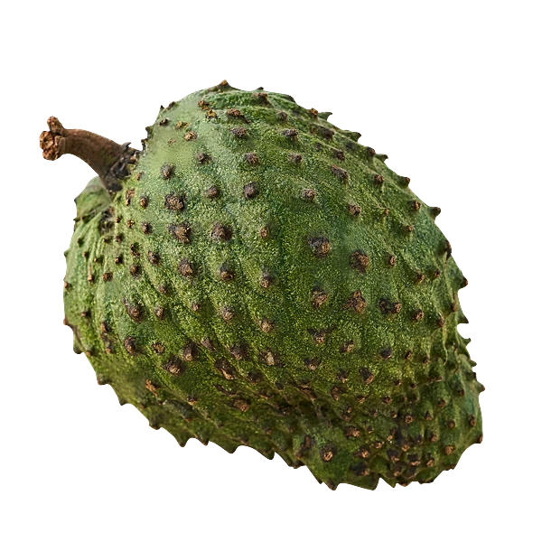 Soursop