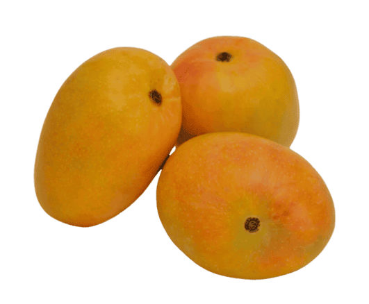 Tropical Fruit Box