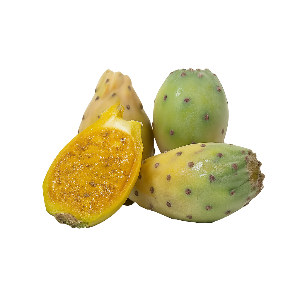 Cactus Fig / Prickly Pear