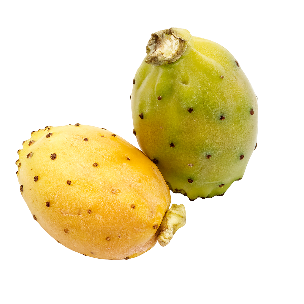 Cactus Fig / Prickly Pear