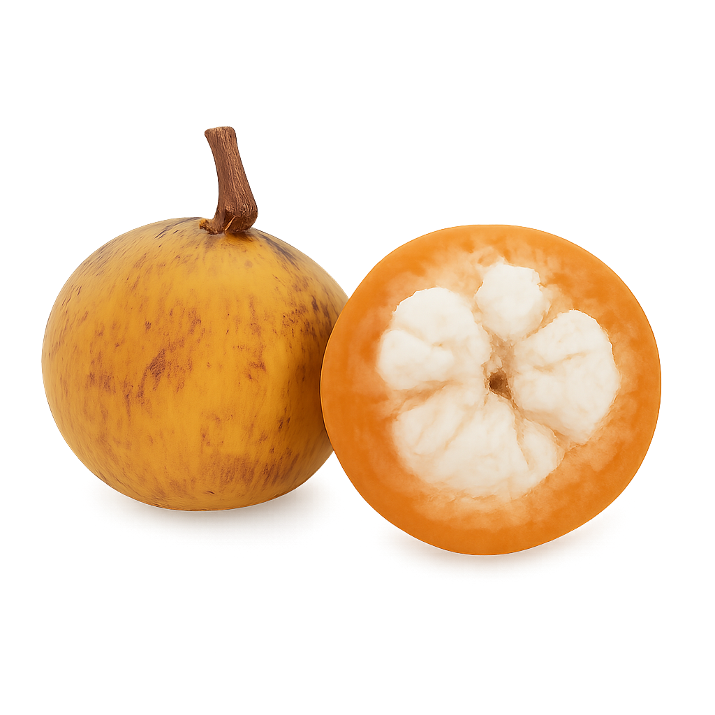 Tropical Fruit Box