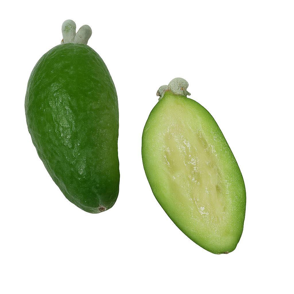 Tropical Fruit Box