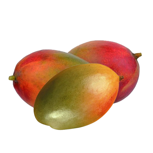 Mango - Julie