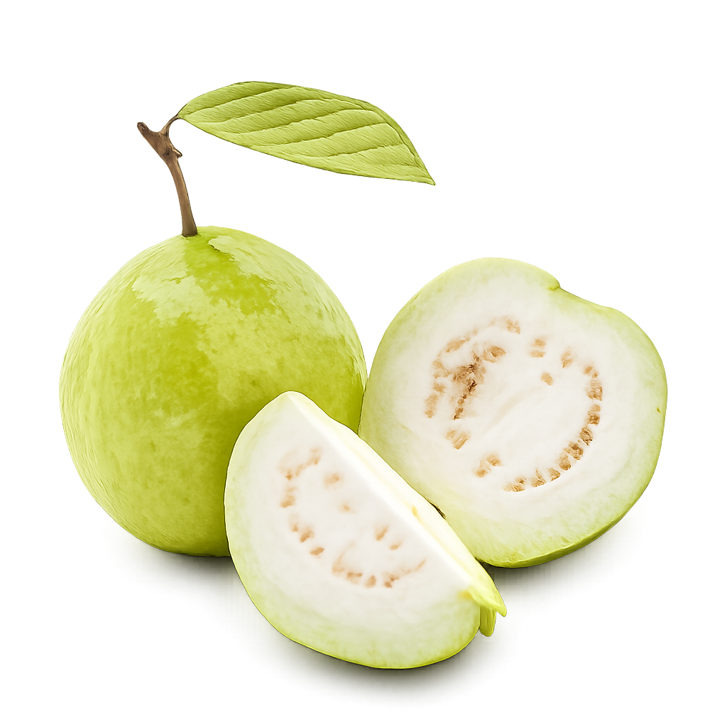 Guava - White