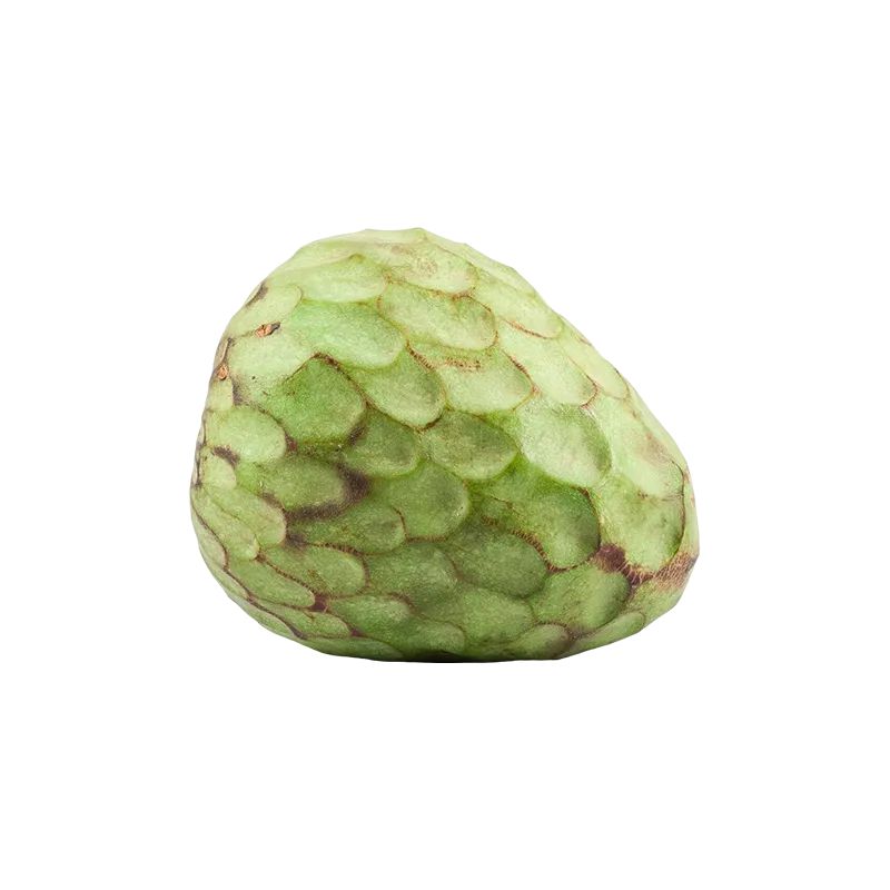 Tropical Fruit Box