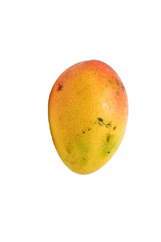 Mango - Haden