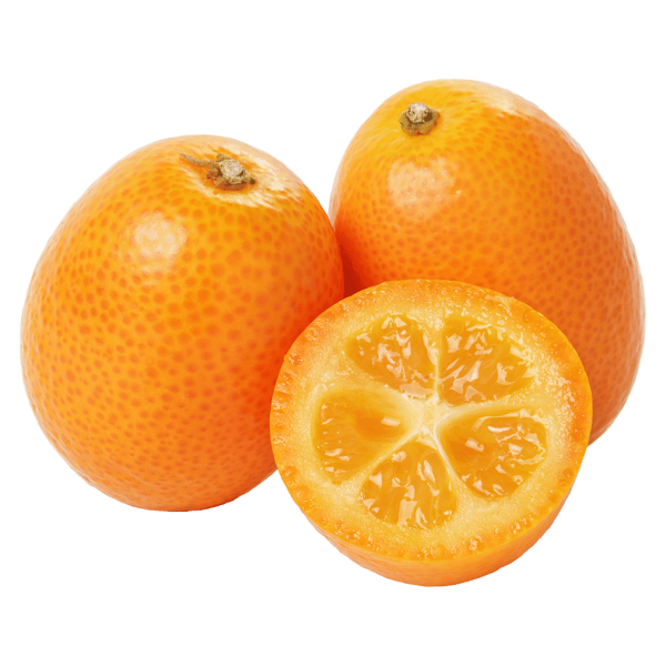 Tropical Fruit Box