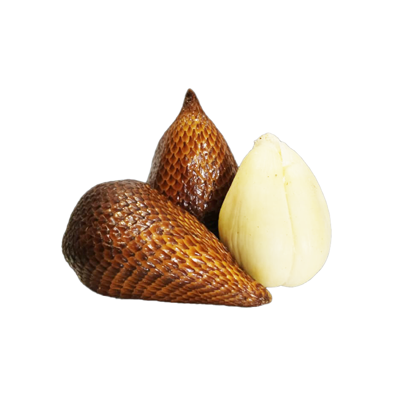 Snake Fruit - Salak Pondoh