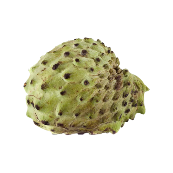 Apple - Custard Apple - Atemoya