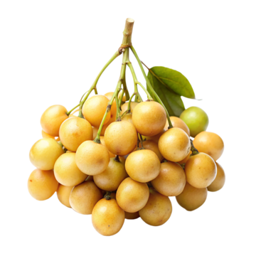 Burmese Grapes