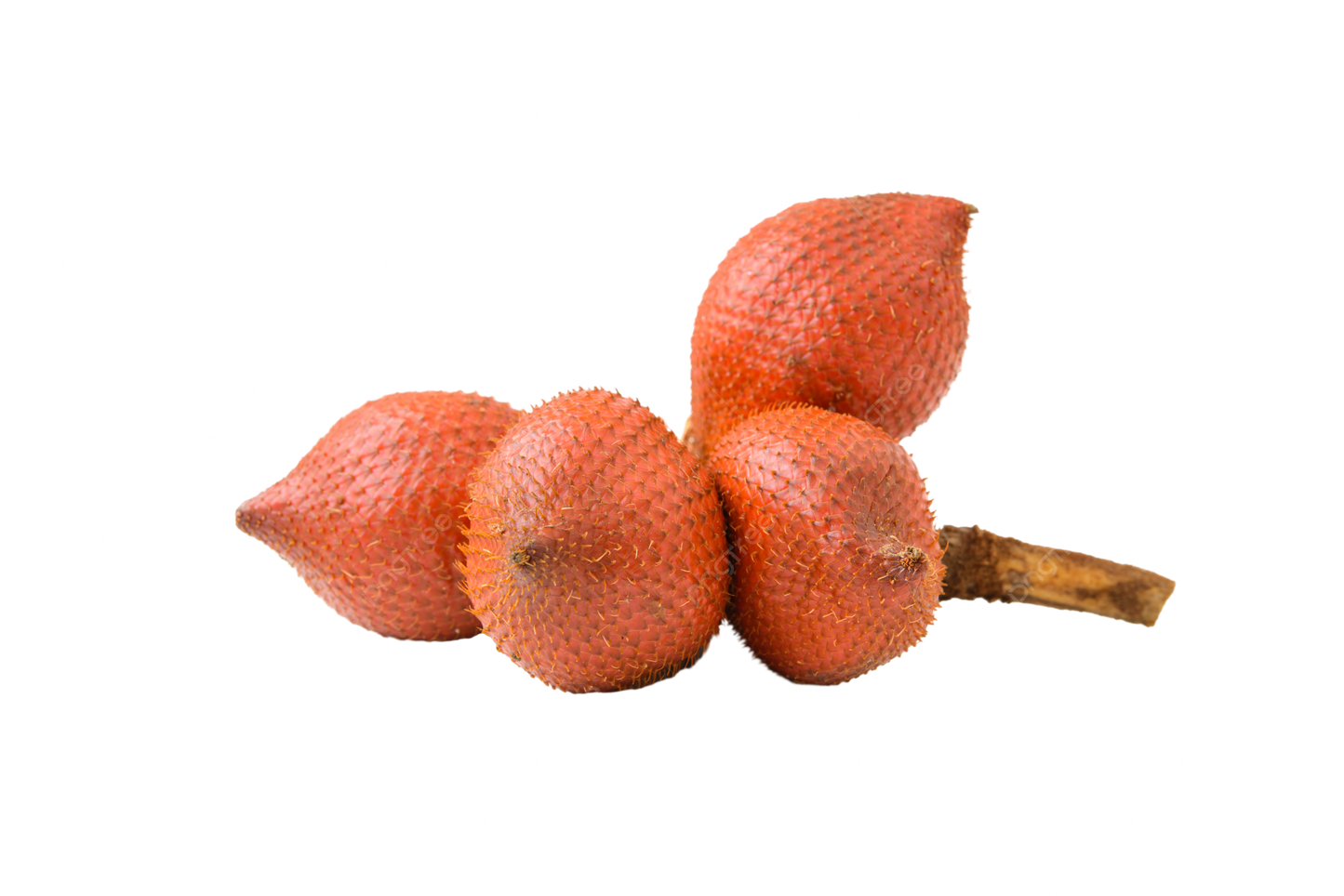 Snake Fruit - Salacca