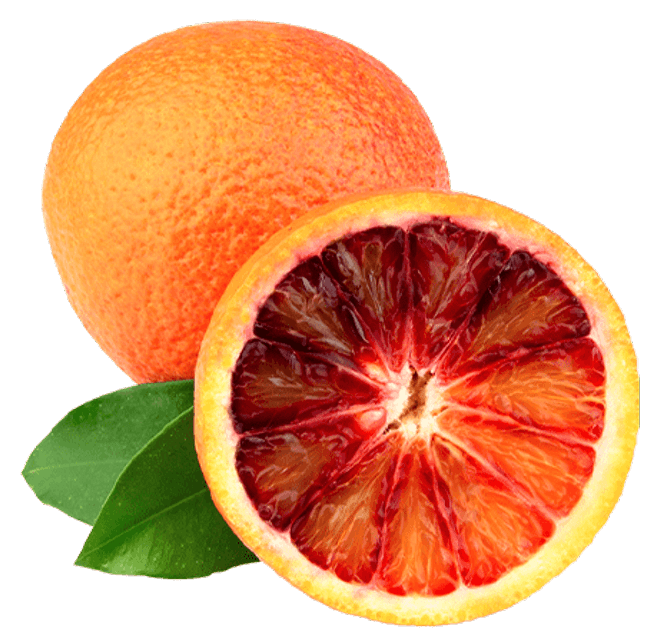 Orange - Blood Orange/ Ippolito