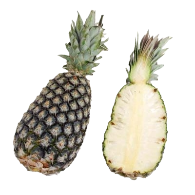 Pineapple - Sugerloaf