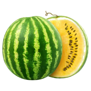 Watermelon - Yellow