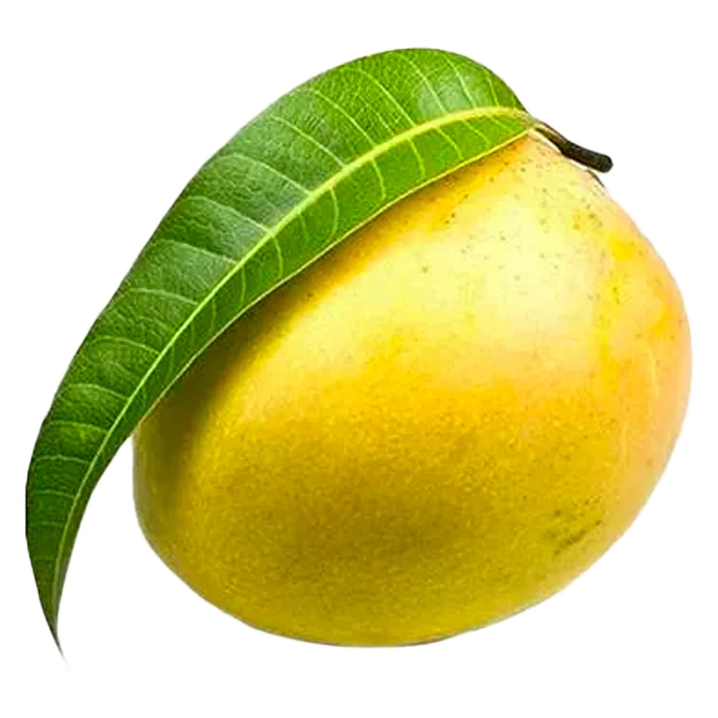 Mango Selection Box