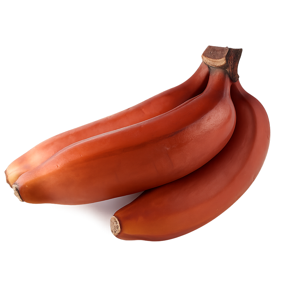 Banana - Rath Kessel