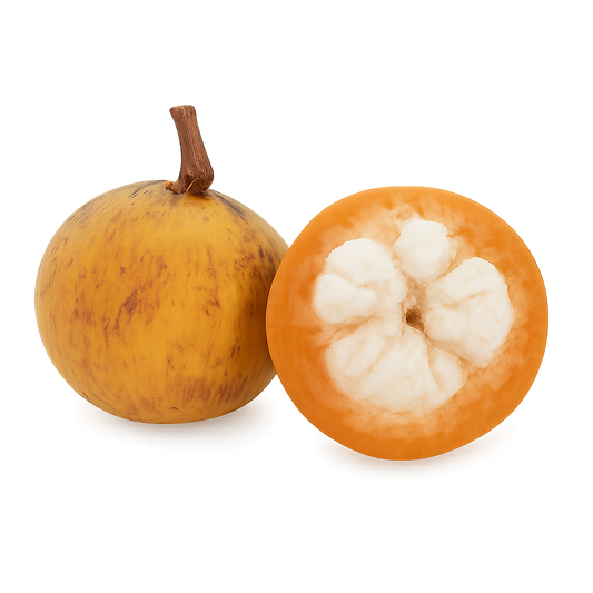 Santol / Wild Mangosteen