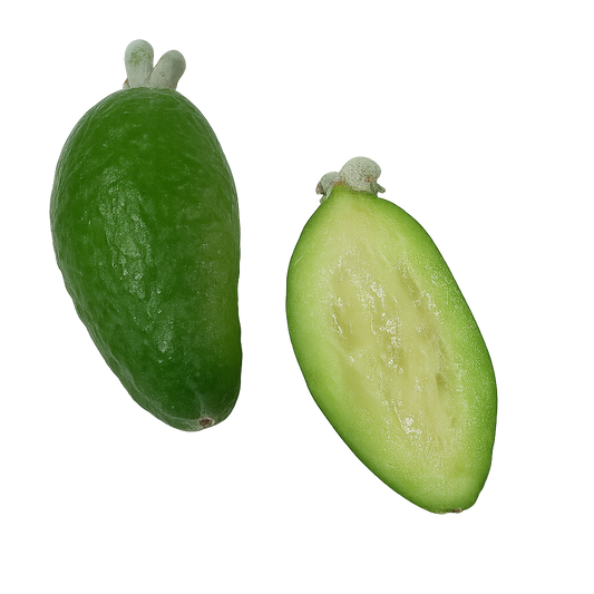 Feijoa / Guavasteen