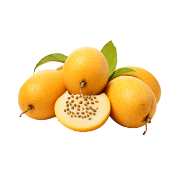 June Plum / Golden Apple