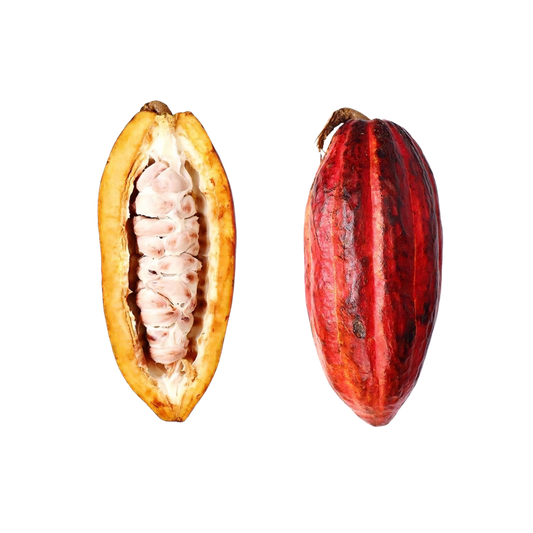 Cacao Fruit