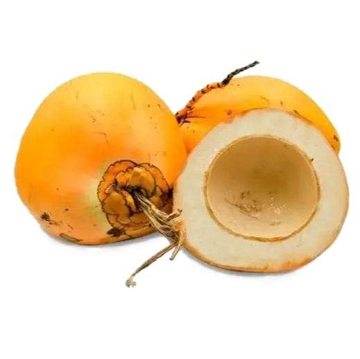 Coconut - King Coconut / Red Dwarf