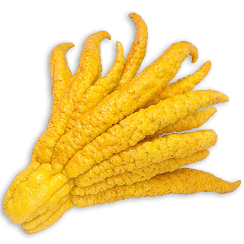 Buddahs Hand